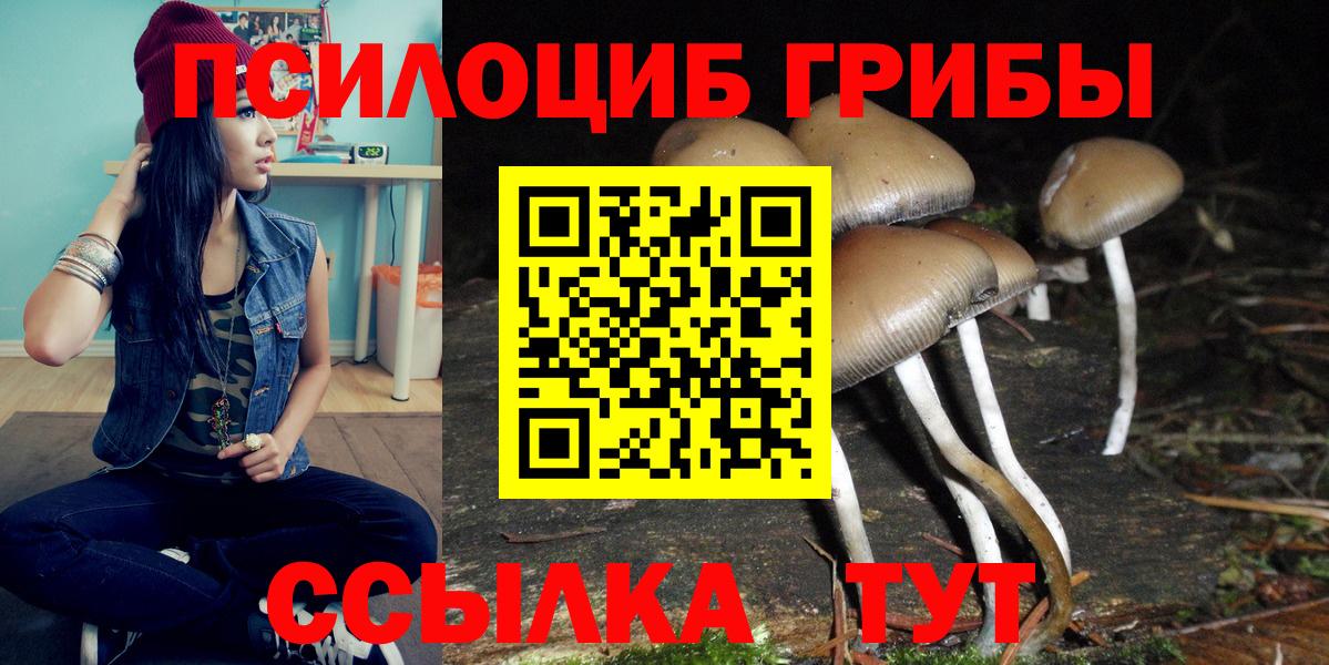 Галлюциногенные грибы Psilocybine cubensis  Вход с VPN  Лесной 